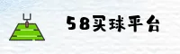 隐私政策